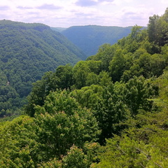 New River Gorge